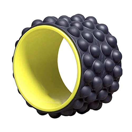Evrum Ultimate Back Roller, myofascial Release, Trigger Point, Yoga Wheel, Foam Roller, Back Pain, Yoga Wheel for Back Pain, Back Massager, deep Tissue, Massage, Exercise, Mobility (B09N1HZ6H7) Amazon Price History, Amazon Price Tracker