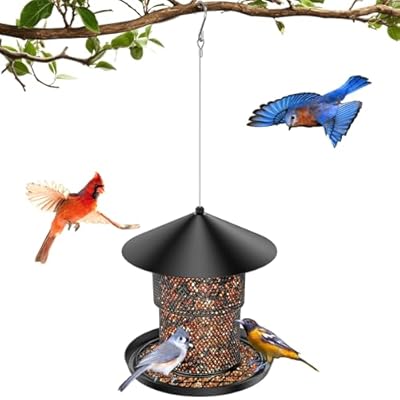 Bird Feeder for Outdoor Hanging, Mess Free Birdfeeder for Outdoor with Catch Tray, Heavy Duty Metal for Outside Hanging to Attracting Birds