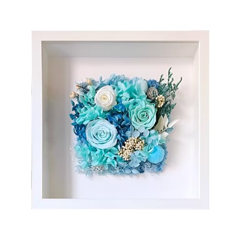 [Aishaba]�y���̃t�H�g�t���[���z��T�C�Y�ؐ��f�B�X�v���C�t���[�� DIY����L�b�g�t�� �t�B�M���A�W��/�C�t�����[�A�����W�����g/�L�k�p �g�����[�w�݌v �Ǌ|���E��㗼�p �ȈՑg���� �i����3cm�j6�C���`�A���a10×15cm ���g�{���J�[�h�i�A