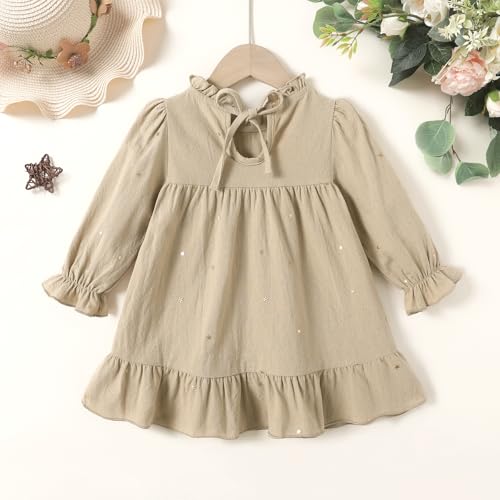 Happy Town Toddler Baby Girl Dress Ruffle Long Sleeve Floral Embroidered Dresses with Bag Fall Winter Outfit Clothes3