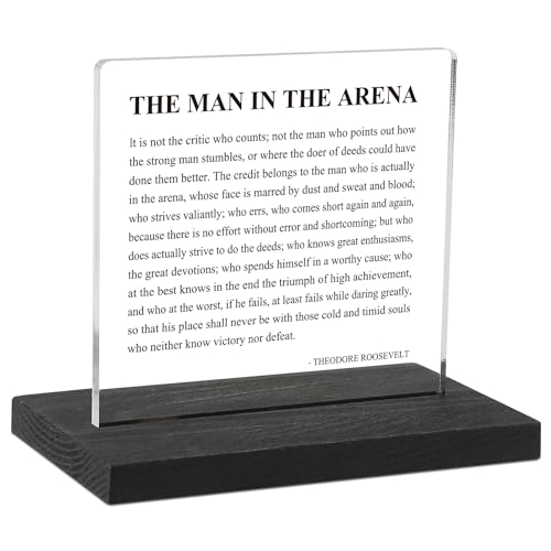 Inspirational Office Decor Sign for Cubicle Decor or Desk Decorations the Man in the Arena Office Desk Dcor for Home Office Motivational Office Gifts for Men Coworker Employee Friend DSF80