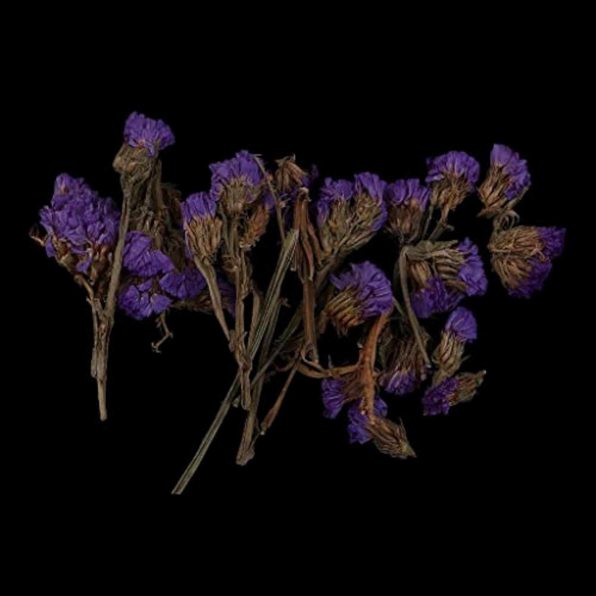Natural Dried Flowers for Candle Making, Forget-me-not