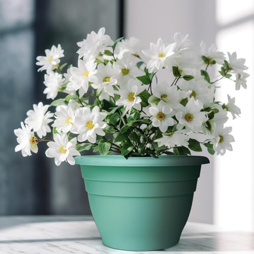 Plant Pots Set of 5, 10