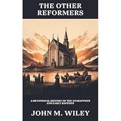 The Other Reformers Audiolibro Por John M. Wiley arte de portada