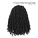 Yanky Twist Crochet Hair - (8+10+12inch)*3,Total 9 packs,Natural Black,Pre-Looped Yankee Twist Mini Passion Twist,Pre-Twisted Micro Spring Twist,Boho Senegalese Twist Crochet Hair with Curly Ends(1B#)