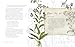 The Way of the Wildflower: Gospel Meditations to Unburden Your Anxious Soul