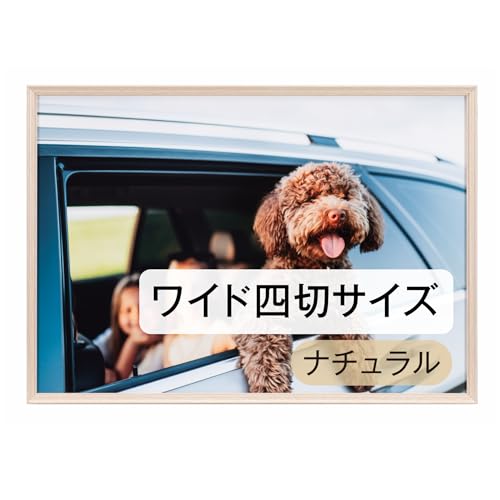 �P���R�[(Kenko) �z�� �A�~�l�I�E�O�����f ���C�h�l�� �i�`������ �ؖڒ��A���~�t���[�� UV�J�b�g�A�N���� ���{�� AAG-W4-NA