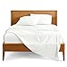 Ivy Union Premium Ultra-Soft Microfiber Sheet Set Twin Extra Long, Twin XL (Ivory)