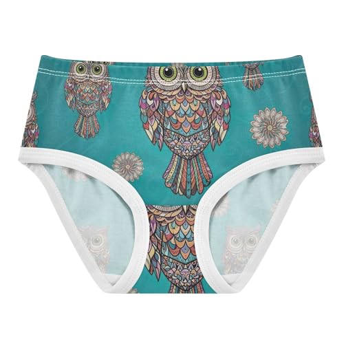 Cotton Toddler Girls Underwear Vintage Cartoon Owls Floral Blue Panties Little Girl Personalized Underpants Briefs 2t