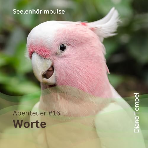 Abenteuer #16 - Worte