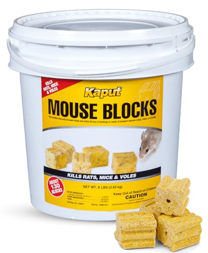 Kaput Mouse Blocks