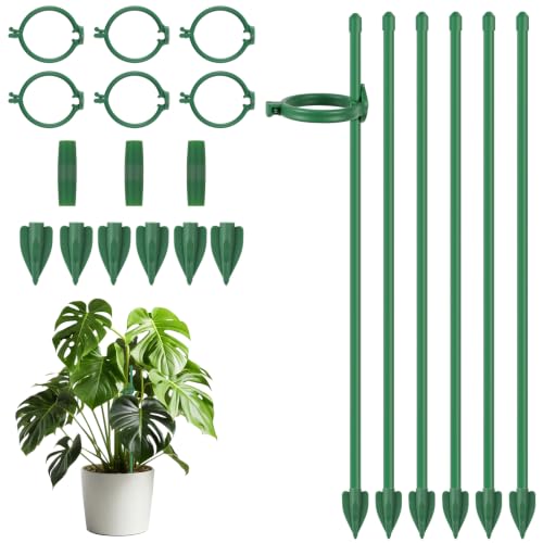 ANOMM 21 wsporników do roślin domowych, 30 cm podpórka na paliki z klipsami, regulowana podpórka monstera do kwiatów domowych, ogrodu, orchidei, roślin pnących, pomidorów (zielone)