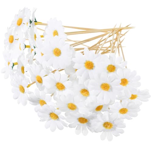 CHENGU 100 Pcs Fancy Toothpicks Cocktail Picks, Daisy