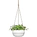 Mkono Modern Ceramic Hanging Planter for Indoor Plants Porcelain Hanging Plant Holder 8 Inch Geometric Flower Pot with Rope Hanger for Indoor Outdoor Herbs Ivy Crawling Plants, White
