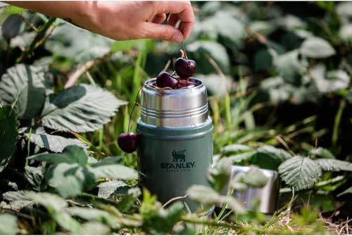 Stanley Classic Legendary Large Food Jar 24 oz | Vacuum Insulated Thermos Food Container | Wide Mouth Screw On Lid | Packable for Travel | Stainless Steel with Leakproof Lid | BPA-Free | Black 2.0