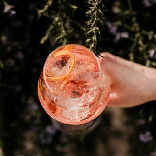 Ferdinand’s | Rosé Aperitif | Perfektes Sommergetränk mit Rhabarber und Holunderblüte | Mit Doctor Polidori Dry Tonic Water | 500ml + 2 x 200ml | 17% vol.