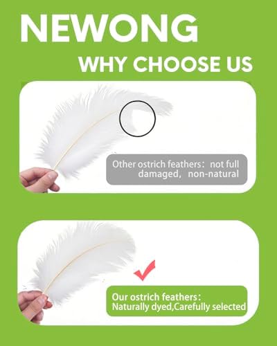 23-30cm Ostrich Feather