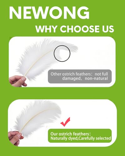 23-30cm Ostrich Feather