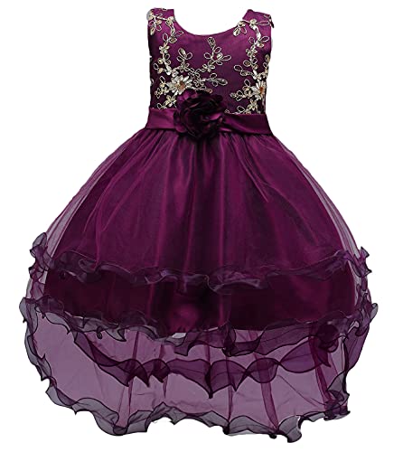 Embroidered Children Clothes Trailing Dress Junior Girl Wedding Party Princess Dress