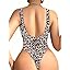 181 Leopard