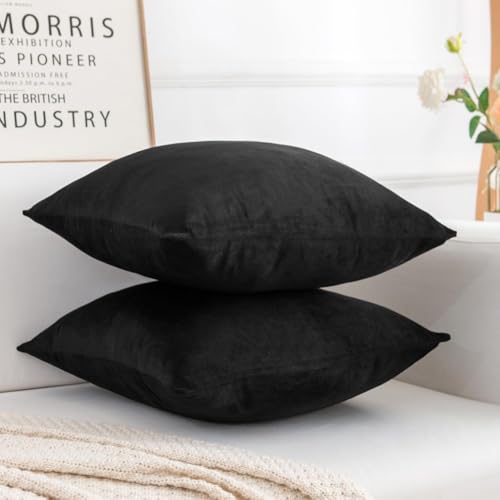Image of Amazon Brand - Umi Velvet Decorative Cushion Cover 20x20 Inch - Set of 5, Soft Solid Square Throw Pillow Covers for Sofa, Living Room or Home Decor - 50x50 cm in Yellow Color