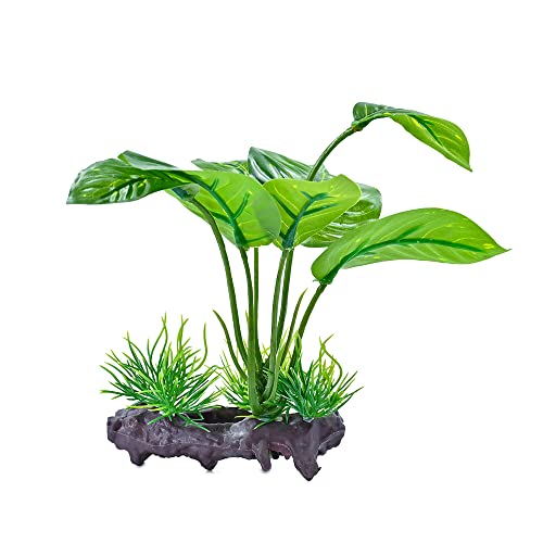 MRTIOO Reptile Artificial Plants, Terrarium Plants Decorations Supplies, Amphibian Habitat Hideout Tank Accessories, Rainforest Ground Plant (AA) - Thumbnail 4