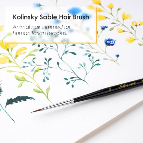 Image of Kolinsky Sable Miniature Paint Brushes - Professional Artist Brush Size 0, Small Fine Detail Paint Brush Set for Mini Paints, Paint by Number, Figurine
