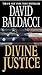 Divine Justice (Camel Club Series)