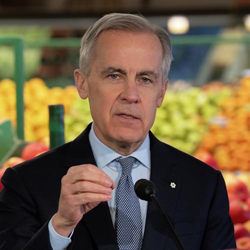 Do you qualify for the 'Canada Groceries and Essentials Benefit'? Here is what you need to know