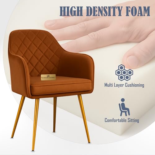 Image of Barfi Velvet Dining Chair | Set of 2 Premium Modern Upholstered Accent Chair with Armrest, Padded Seat and Metal Legs | Comfy Chair for Home, Office & Restaurents | (Light Brown)