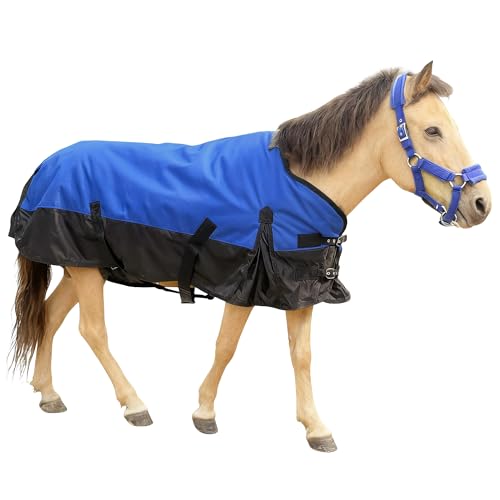 Image of Mini Horse /Pony /Donkey /Miniatur Horse Turnout Blanket, 1600D 220g Fill | Winter Turnout Blanket for Foal & Pony, Waterproof with Secure Adjustable Fit, Ideal for Stables, Paddock and Outdoor Turnout