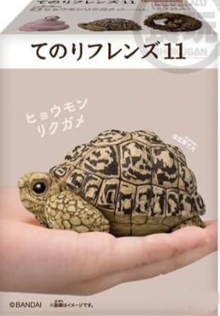 てのりフレンズ　リクガメ　大量 Amazon | てのりフレンズ11【3．ヒョウモンリクガメ】 通販