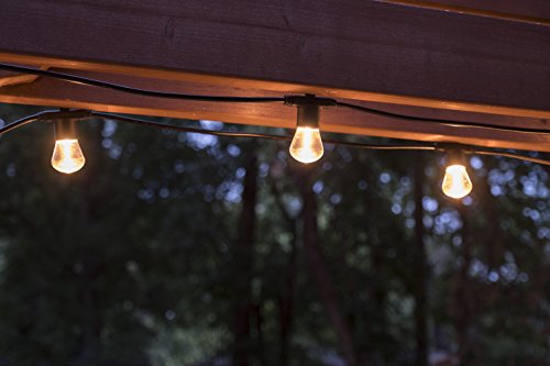 Lights By Night Led Bistro String Lights 12 Ft | 6 Shatter Resistant Lifetime Bulbs, 2200K Warm White, Weather Resistant, Indoor/Outdoor, Commercial Grade, Perfect For Backyard, Porch, Patio, 38353 #TOP2