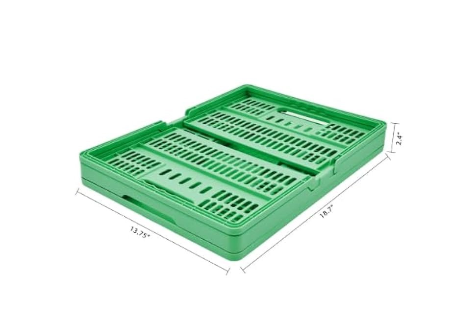 Collapsible Storage Basket, Multi-Purpose Organizer with Handles for Kitchen, Bathroom, Closet, Garage (Green)
