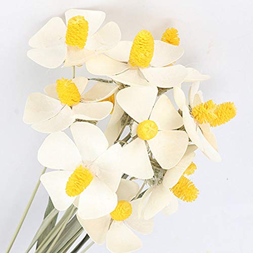 12 Flores Naturales Secas Decorativas para Hogar Boda miniatura 3
