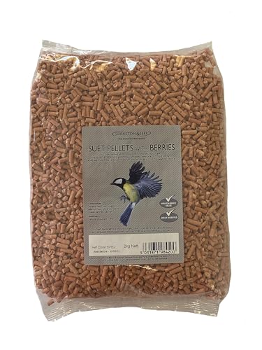 Image of Johnston & Jeff 2kg Suet Pellets with Berries Wild Bird Food Wildlife