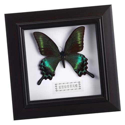 iplusmile Marco De Fotos De Muestra De Simulada Juego De En Conserva Para Manualidades Decoración Del Estante Bichos Enmarcados Peculiar Verde De Madera