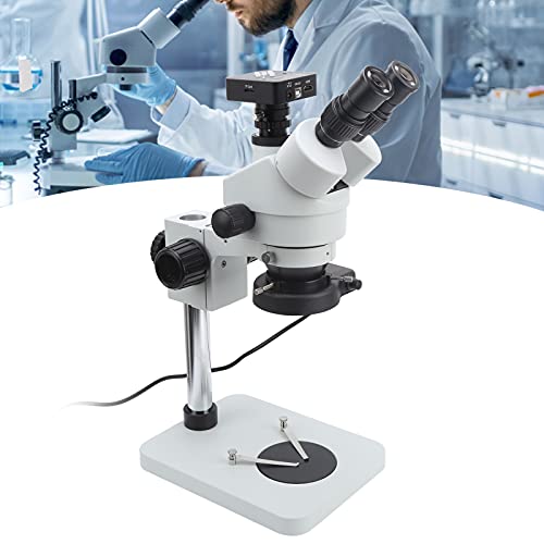 Stereomikroskop, 45 Grad geneigt 360 Grad schwenkbare Augentuben 21MP 2K USB Mikroskop Kamera Trinokulares Mikroskop für… – Bild 3