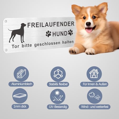 Upifen Vorsicht Freilaufender Hund, 2Stk. Achtung Hund Schild, Warnschild Hund Aluminium mit Selbstklebend und Vorgebohrten Löchern, 25x 9cm, Innen/Außen