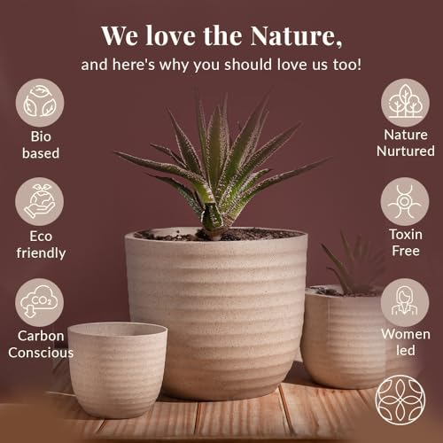 Image of Irida Naturals Set of 4 Rice Husk Peony 4 inch Pots & Planter | Unbreakable, Eco-Friendly, Biodegradable, BPA-Free | Lightweight, Indoor Outdoor Plant Pots for Home and Garden | Multi Color