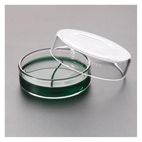 Verres borosilicatés 60 mm lot de 10 pièces pour équipement de laboratoire précis