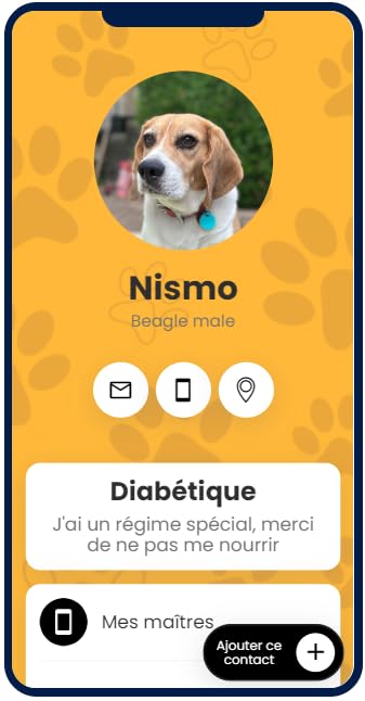 Médaille personnalisable en acier argenté de haute qualité pour animaux