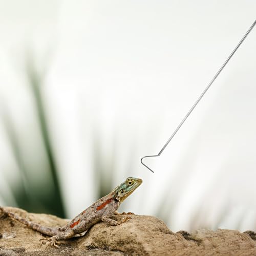 Image of 40 Inch Snake Hook, Large Retractable Snake Grappling Hook, Stainless Steel Snake Pick-Up Tool, Extensible Pet Snake Accessories for Ball Python