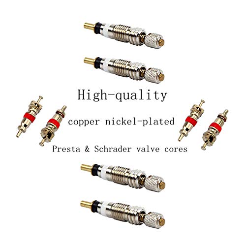 Aracey 36 Pieces Presta Valve Core Kits,Handy Alloy Valve Core Remover,10Pcs Presta Valve Cores,5Pcs Presta Valve Adapters,5Pcs Presta Valve Caps,10Pcs Schrader Valve Cores,5Pcs Schrader Valve Caps #TOP3