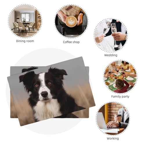 Set de table Border Collie antitache résistant pour en finir avec les corvées - 8