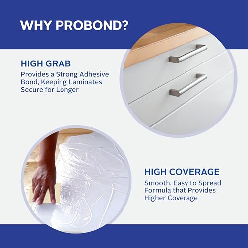 Image of Fevicol Probond - Special Adhesive for Acrylic and PVC sheets | Heat Resistant | Spreads easily |1Kg