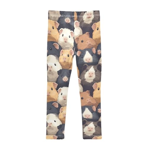 Girls Leggings Cute Guinea Pig Toddler Girls Clothes Leggings for Girls Toddler Girls Leggings 3-4T2