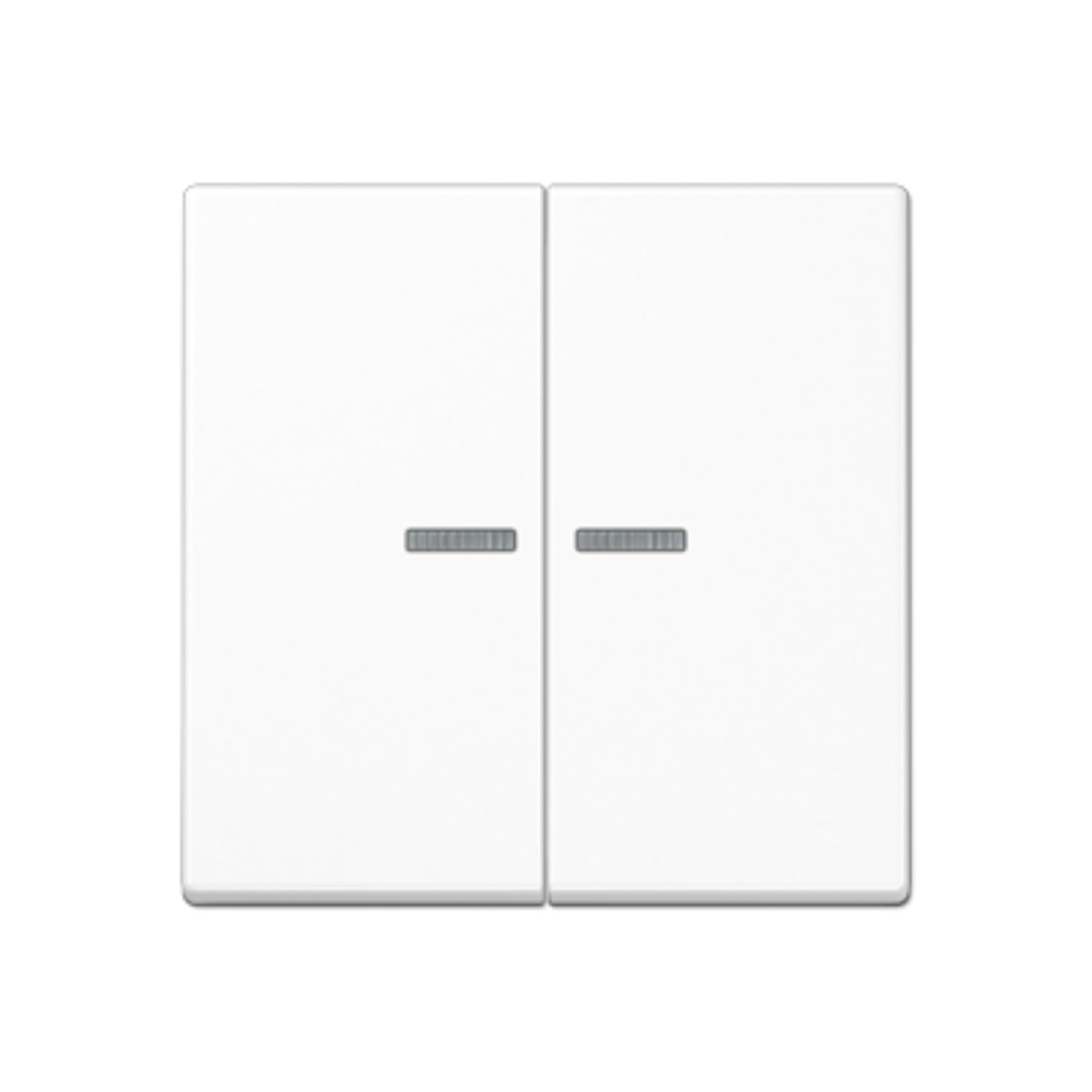 Touche KNX RF 2 phases A JUNG A10921STRFBFWW blanc alpin