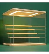 NONEMEY Clear Acryl Display Case Stand met LED Licht 2/3/4/5/6 Tier Opbergdoos Showcase Dustp...