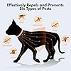 Natural Flea and Tick Collar for Cats – 4 Pack, 8 Months Long-Lasting Protection, Waterproof, Adjustable Size for Kittens and Adult Cats #5